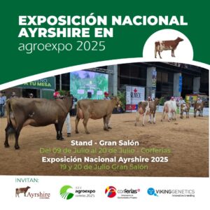 Exposición Nacional Ayrshire 2025 en Agroexpo: genética, progreso y tradición ganadera