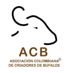 LOGO - ACB (1)
