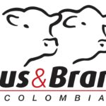 LOGO ANGUS