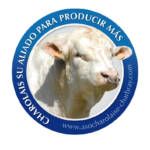 LOGO ASOCHAROLAIS AZUL