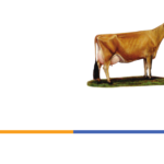 LOGO-ASOJERSEY