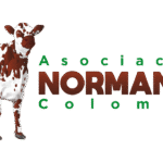 LOGO ASONORMANDO 2024 (Fondo transparente)
