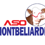 LOGO Asomontbeliarde