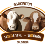 LOGO SIMMENTAL