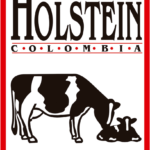 Logo - A.HOLSTEIN